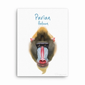 Baboon - canvas canvas mural art