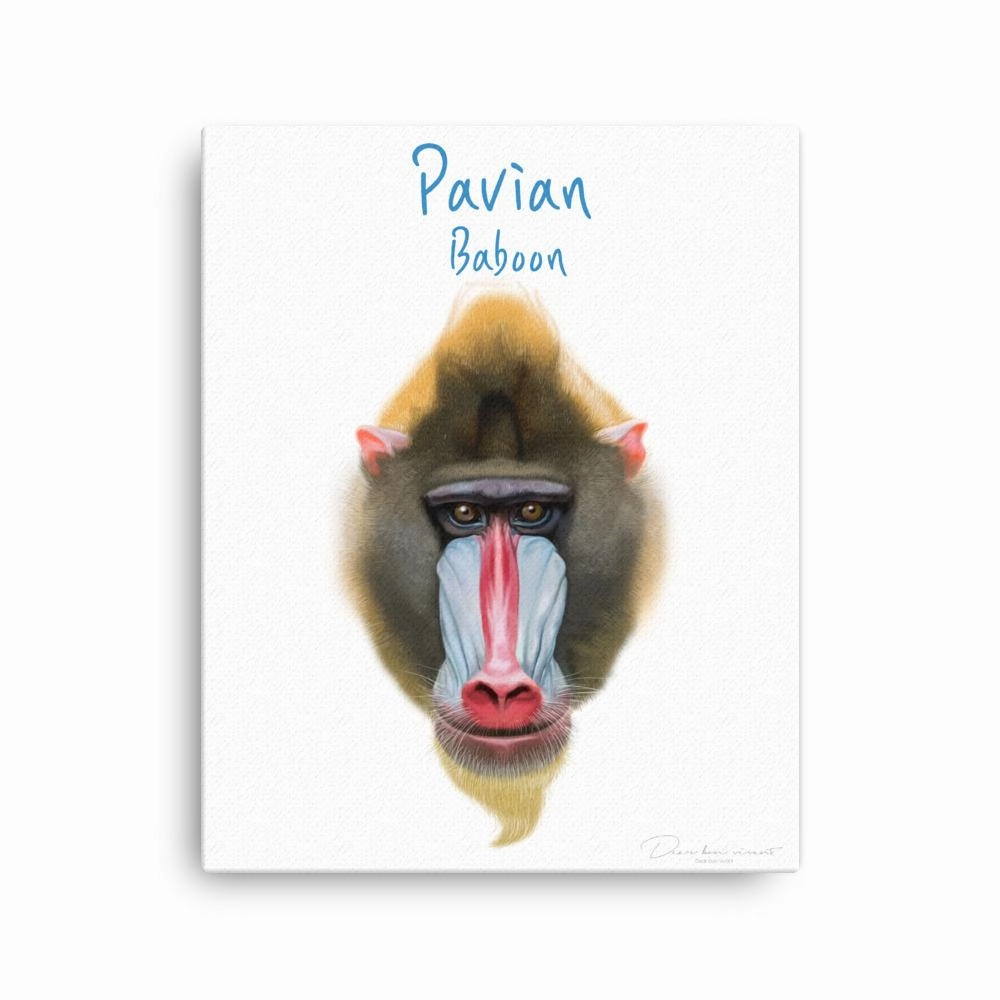 Baboon - canvas