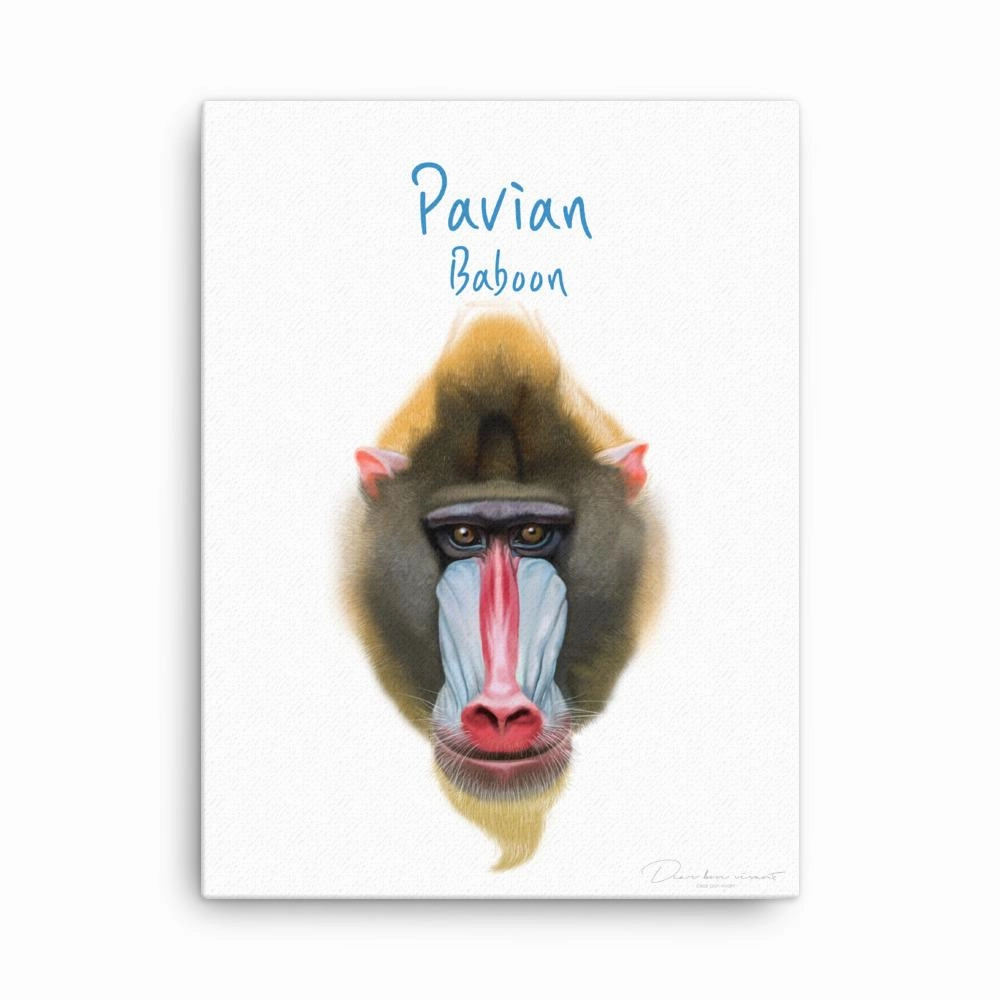 Baboon - canvas canvas mural art