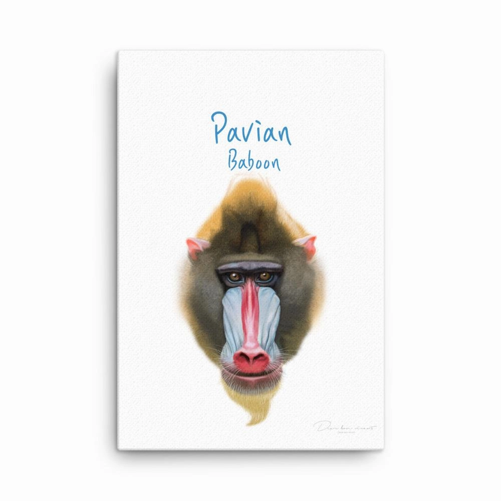 Baboon - canvas