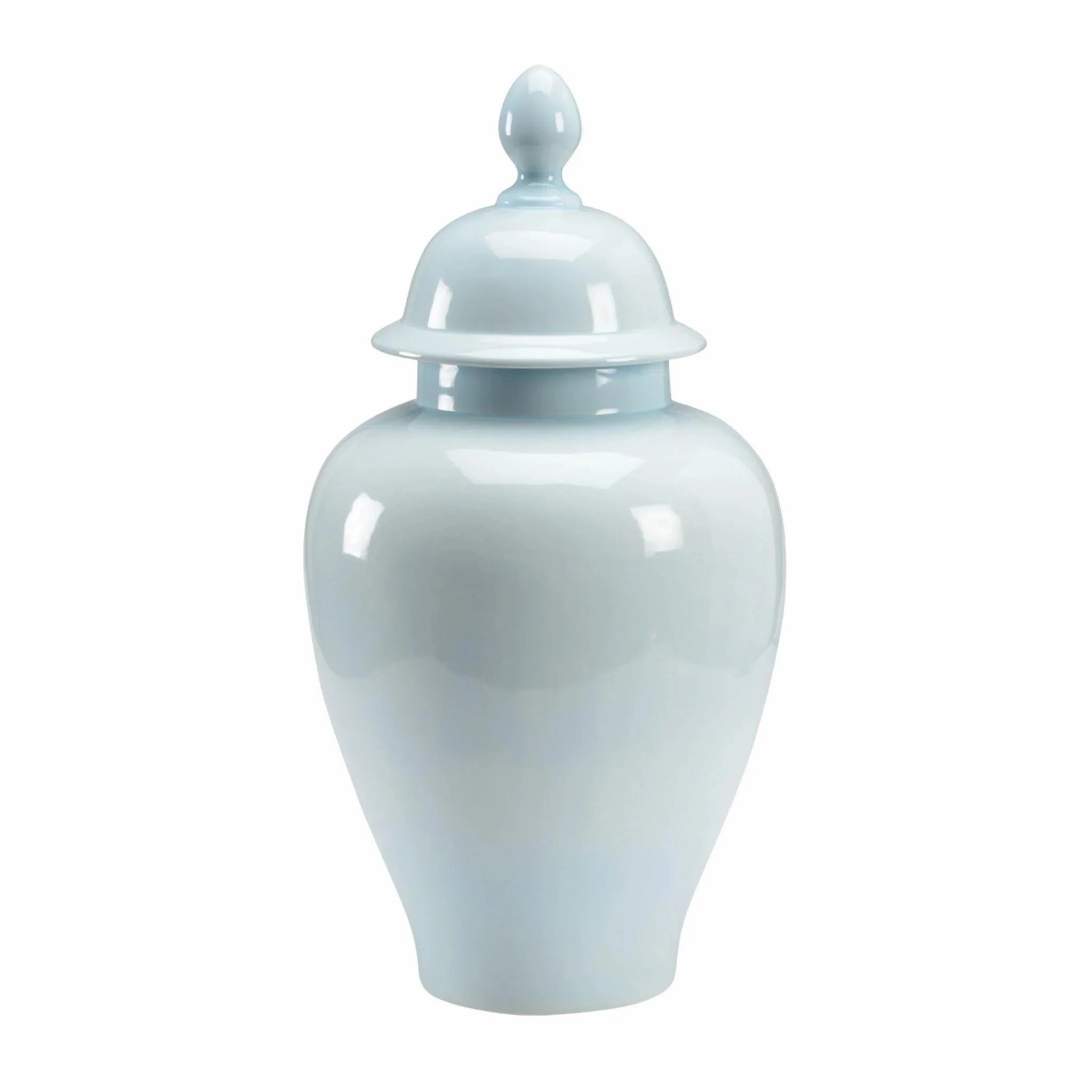 Baby Blue Porcelain Vase With Lid home display ornament