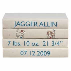 Baby Boy Birth Announcement Decorative Book Set home display ornament