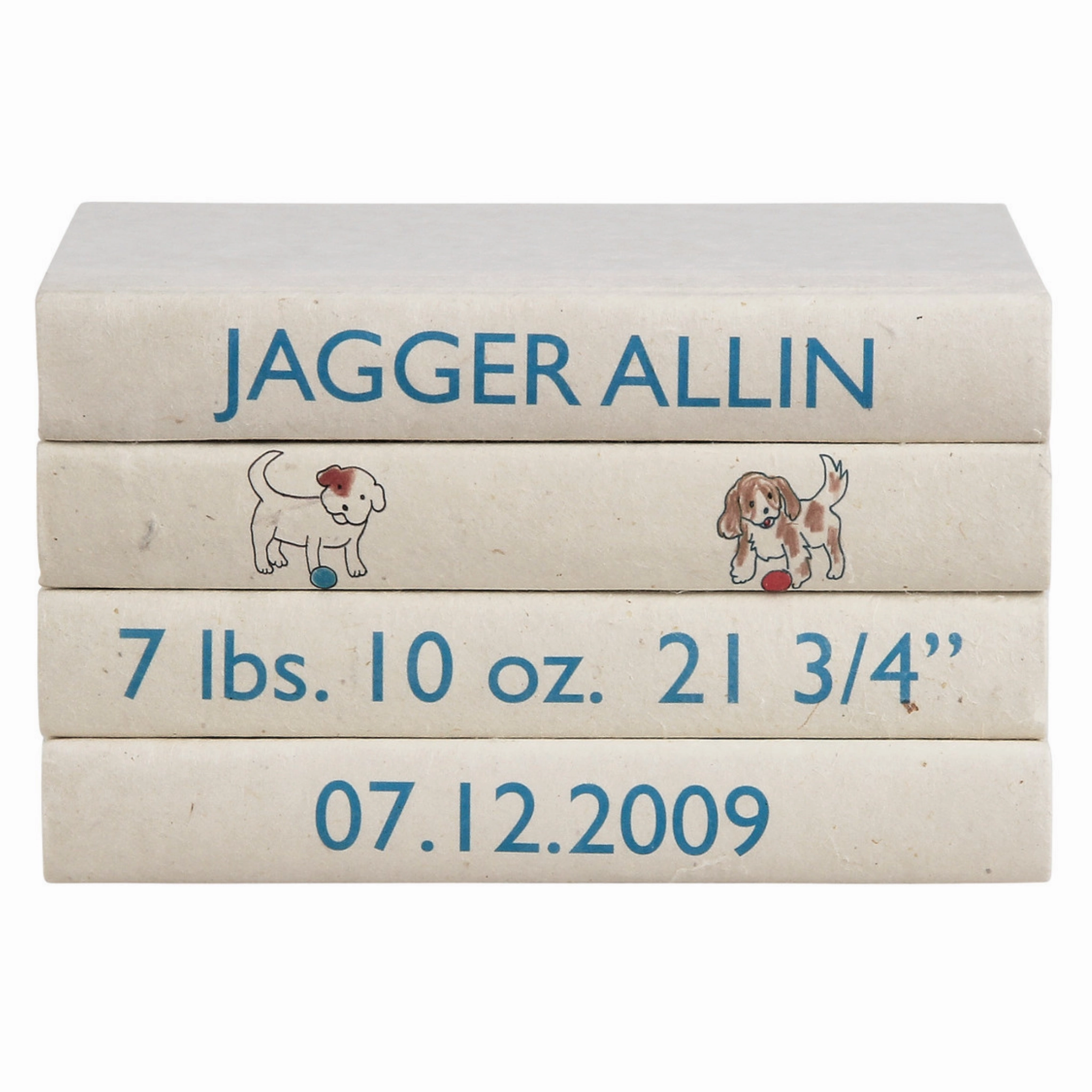 Baby Boy Birth Announcement Decorative Book Set home display ornament