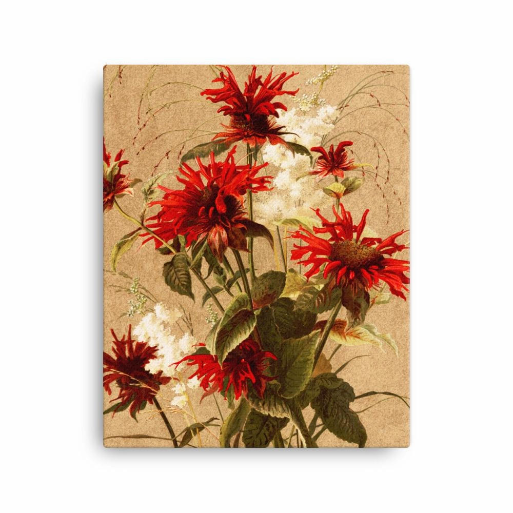 Balsam and Spiraea - canvas