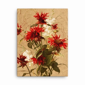 Balsam and Spiraea - canvas canvas mural art