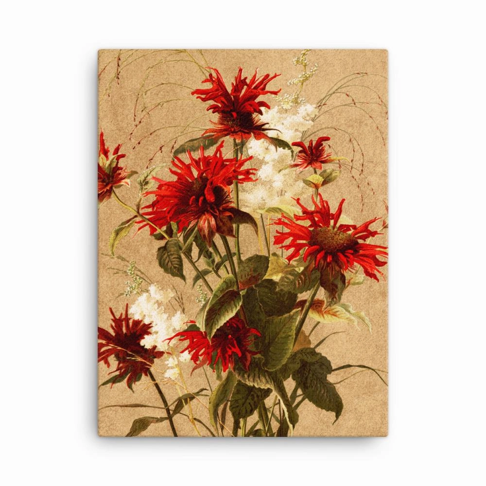 Balsam and Spiraea - canvas canvas mural art