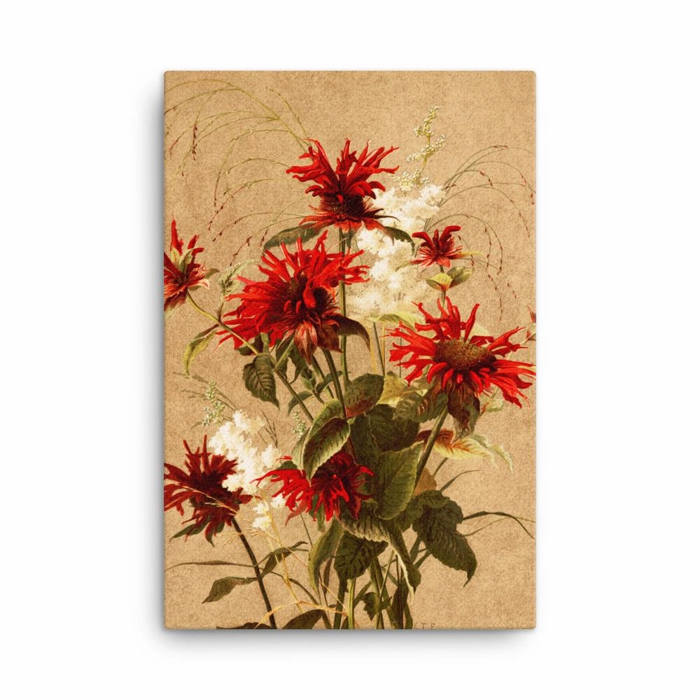 Balsam and Spiraea - canvas