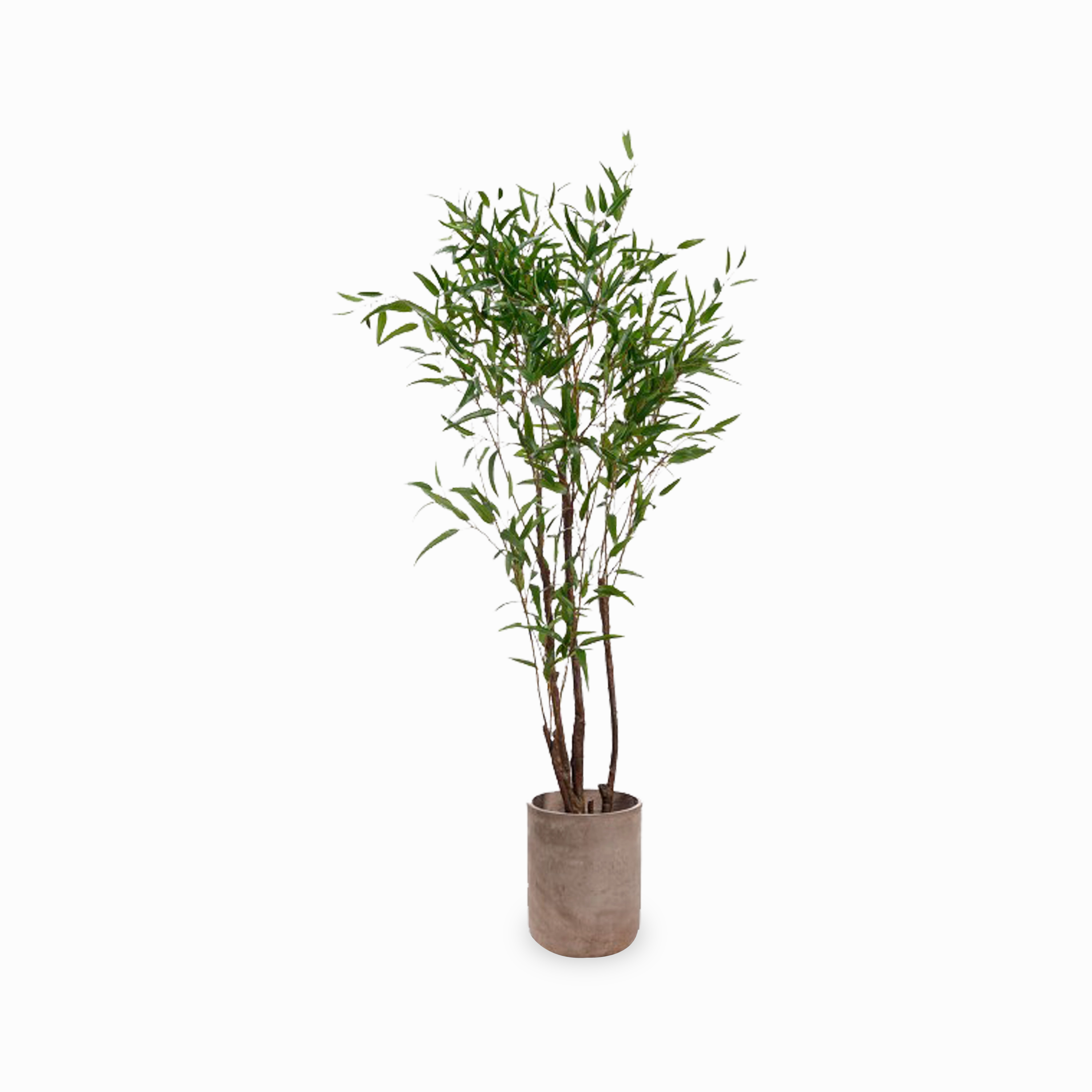 Bamboo Tree elegant wall decor