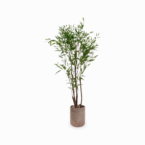 Bamboo Tree elegant wall decor