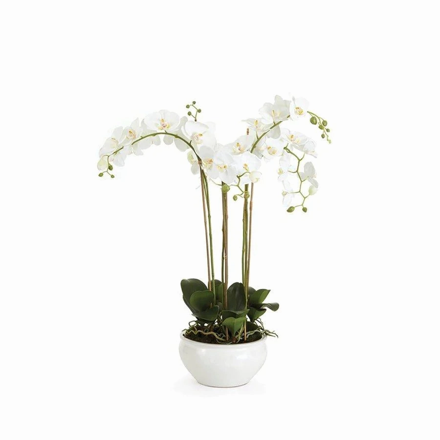 Barclay Butera White Phalaenopsis Floral Arrangement in Ceramic Bowl home display ornament