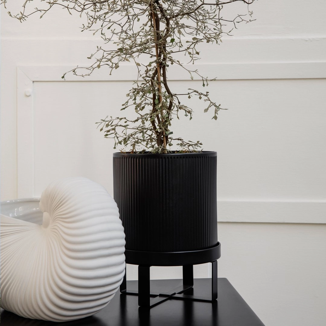 Bau Pot