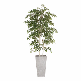 Birch Tree In Fiber Cement Planter elegant wall decor