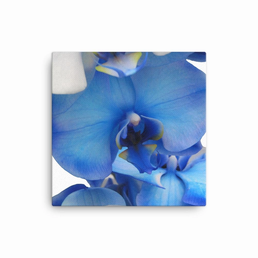 Blue Orchid - Leinwand