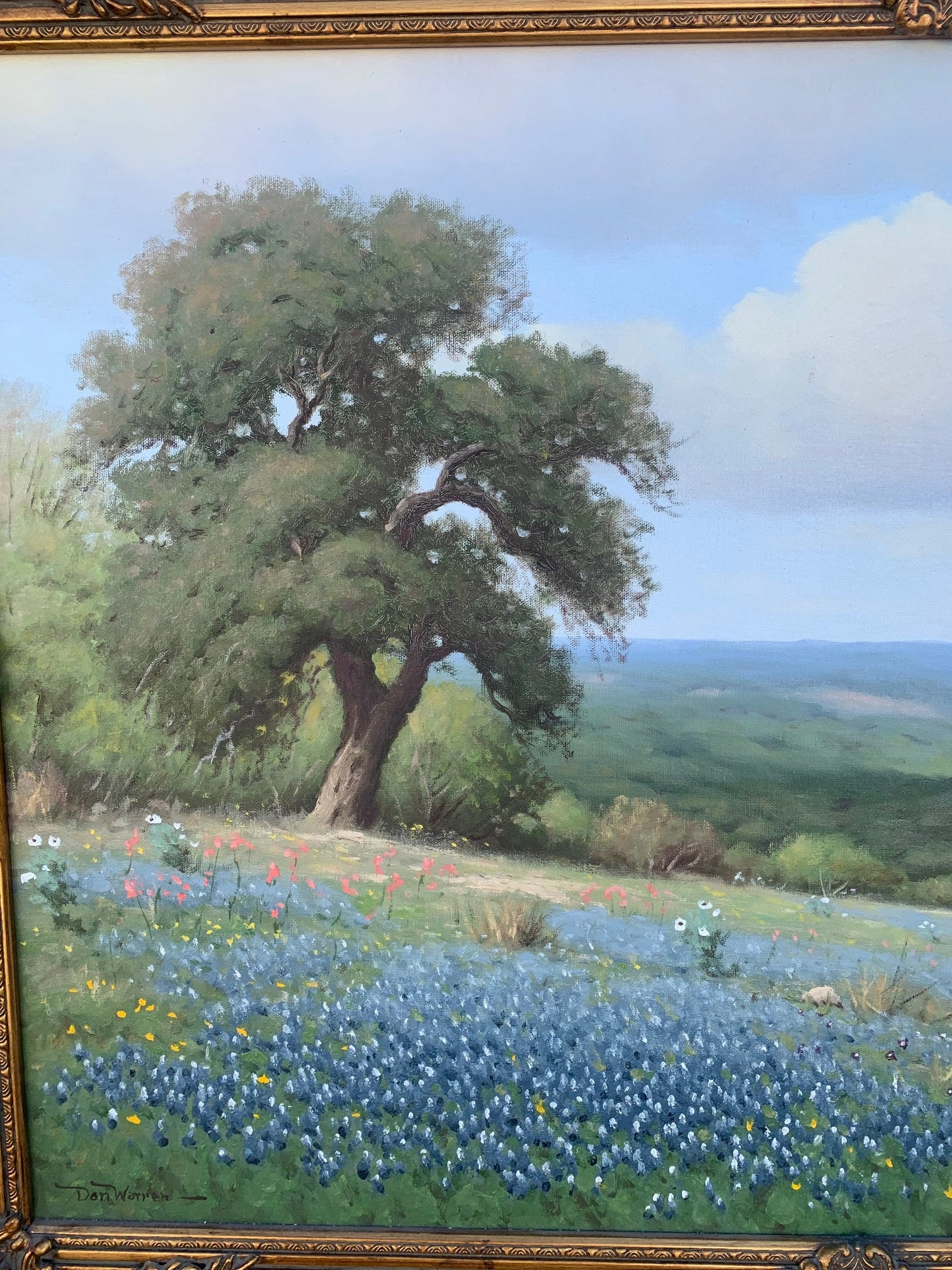 BLUEBONNET LANDSCAPE OIL PAINTING BY DON WARREN