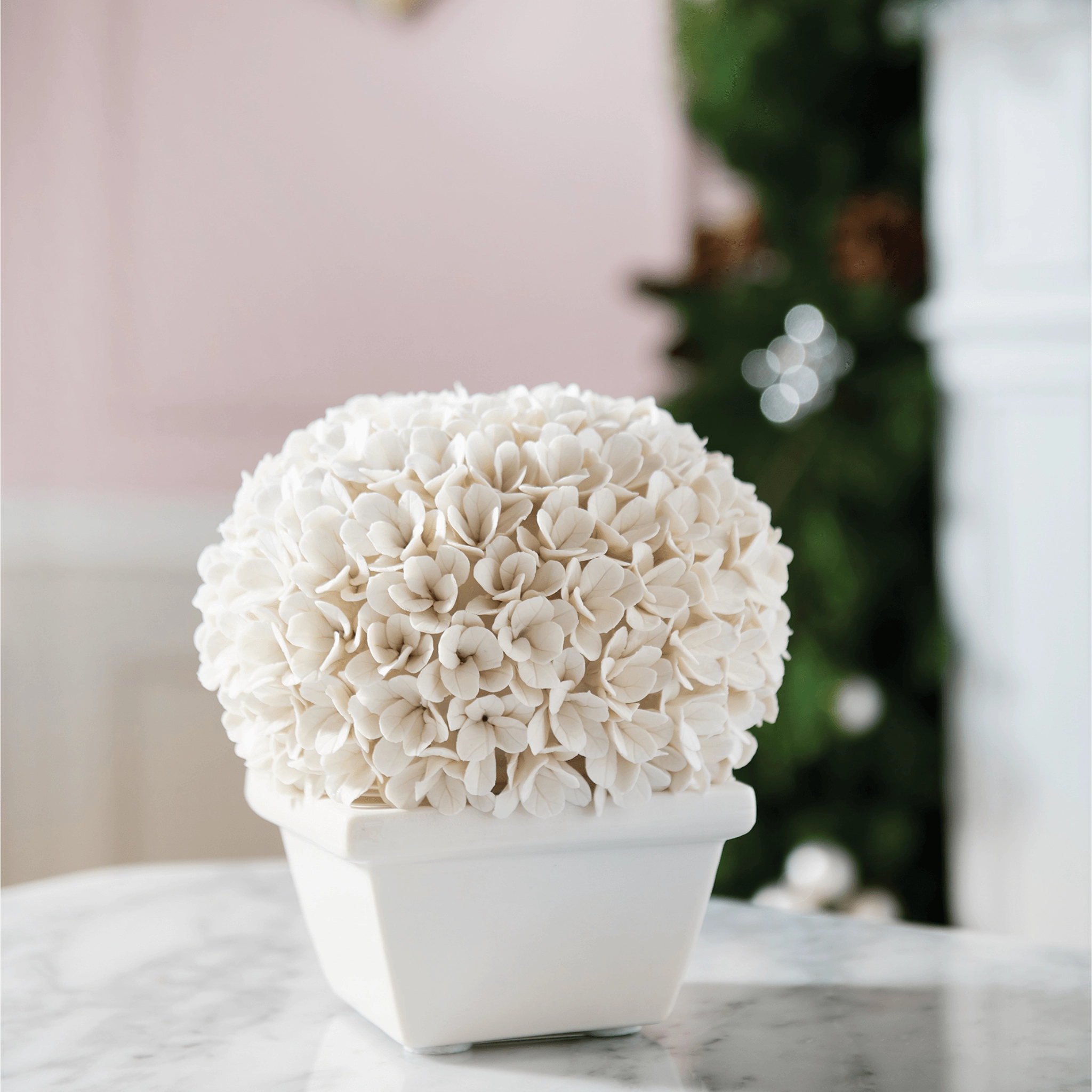 Boston Round Boxwood Topiary in Blanc de China