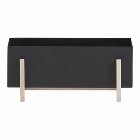 Botanic Box modern art object