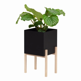Botanic Pedestal Pot modern art object