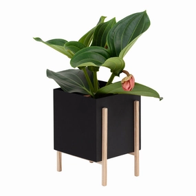 Botanic Pot modern art object