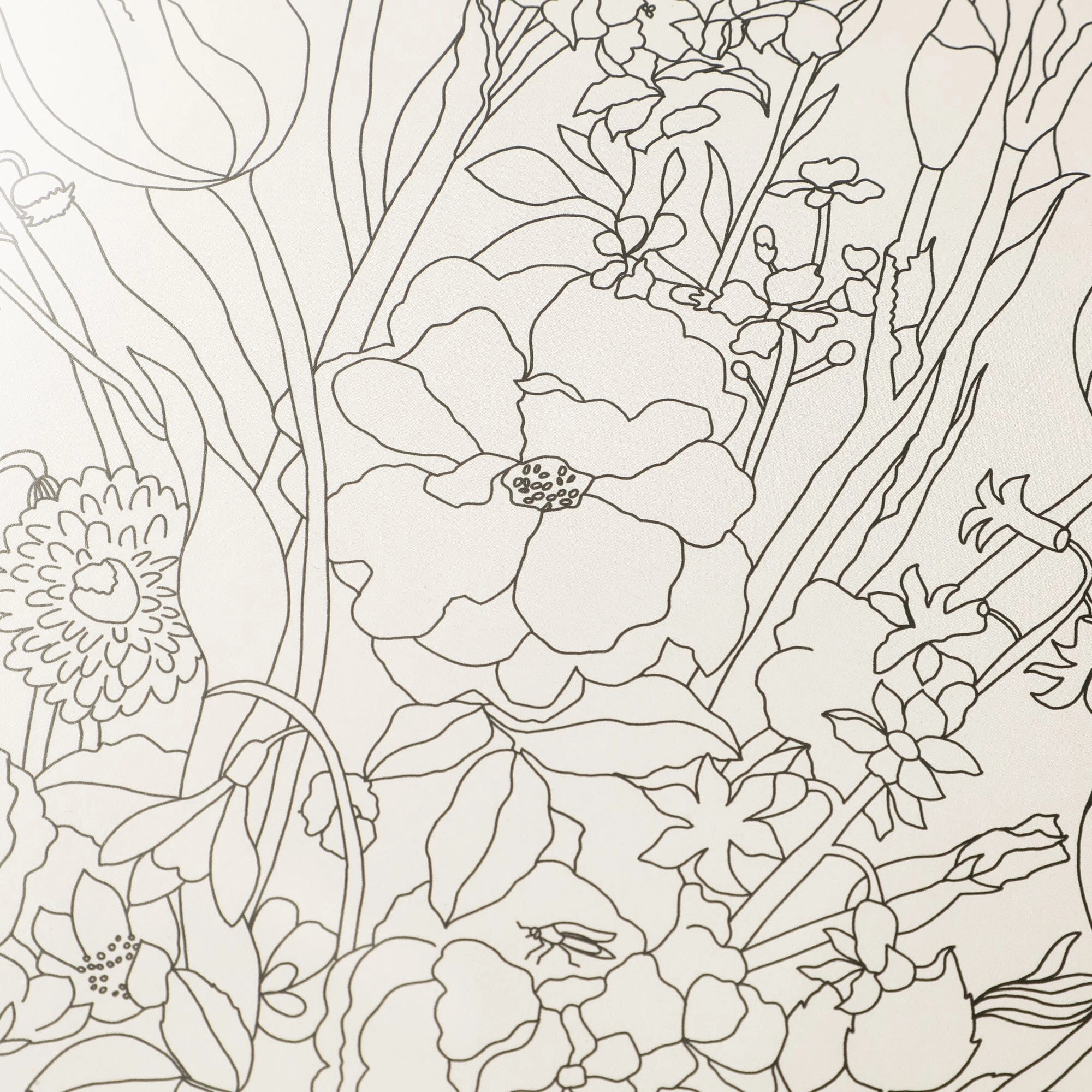 Botanical Gallery Art Board L