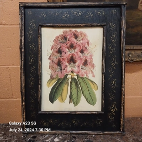 BOTANICAL OIL PAINTINGS ON BOARD classic mural painting