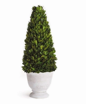 Boxwood Cone Topiary in Pot home display ornament