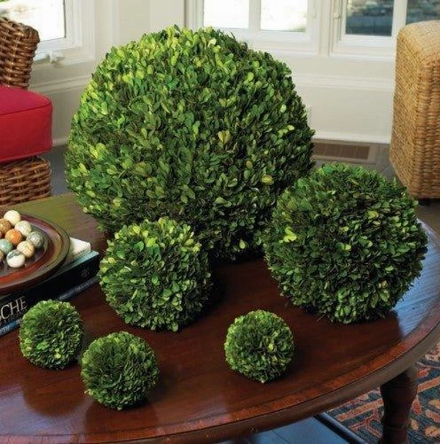 Boxwood Decorative Ball