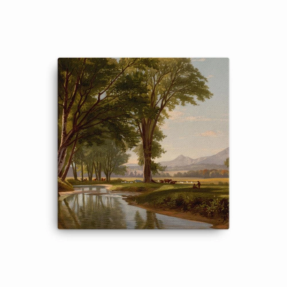 Brook Through Conway Meadows - Canvas
