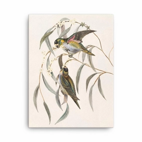Budgie - canvas canvas mural art