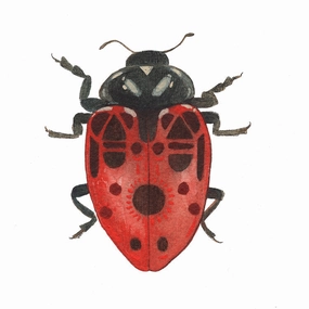 Bug Collection: Ladybug - Art Print framed wall decor