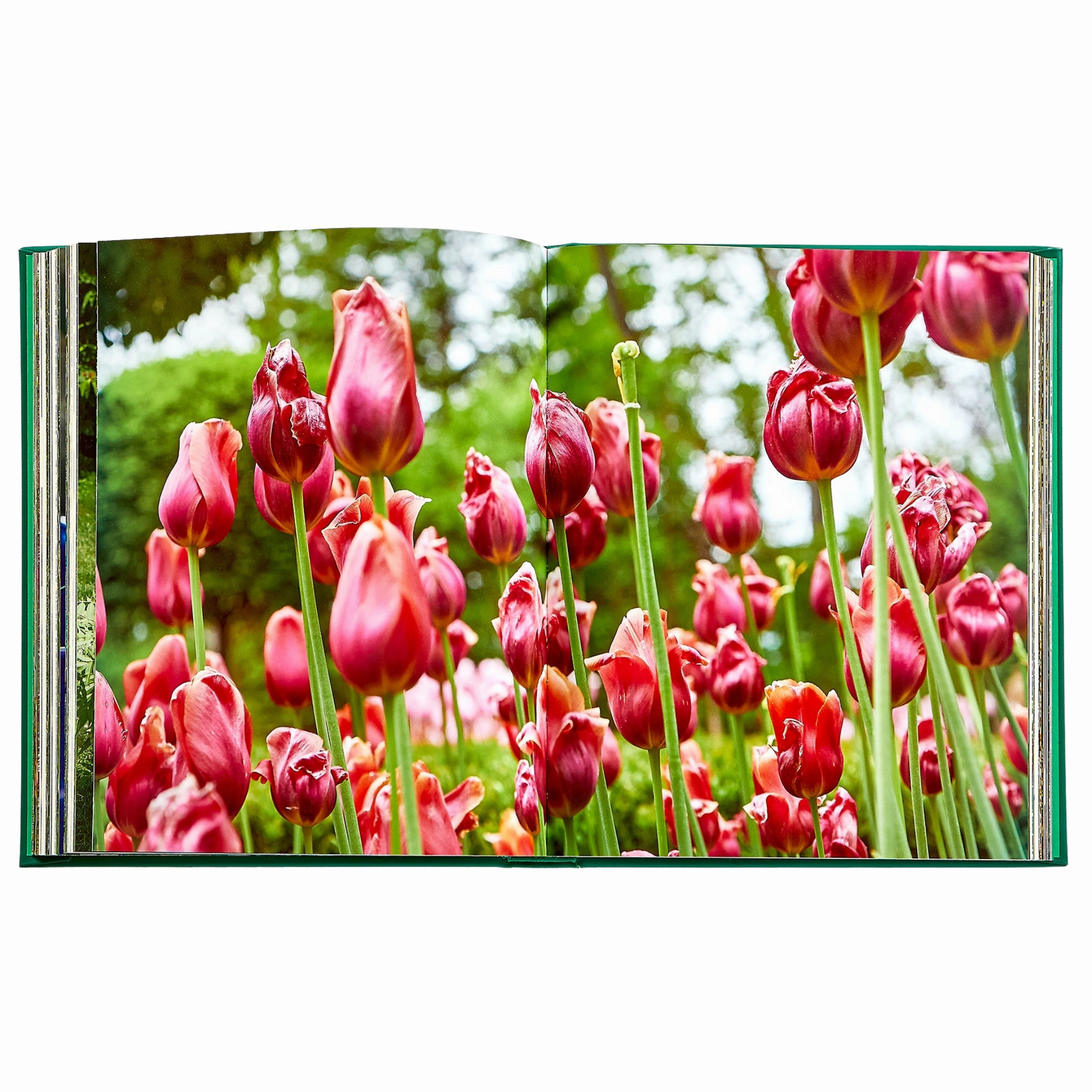 Bunny Williams: Life in the Garden Book