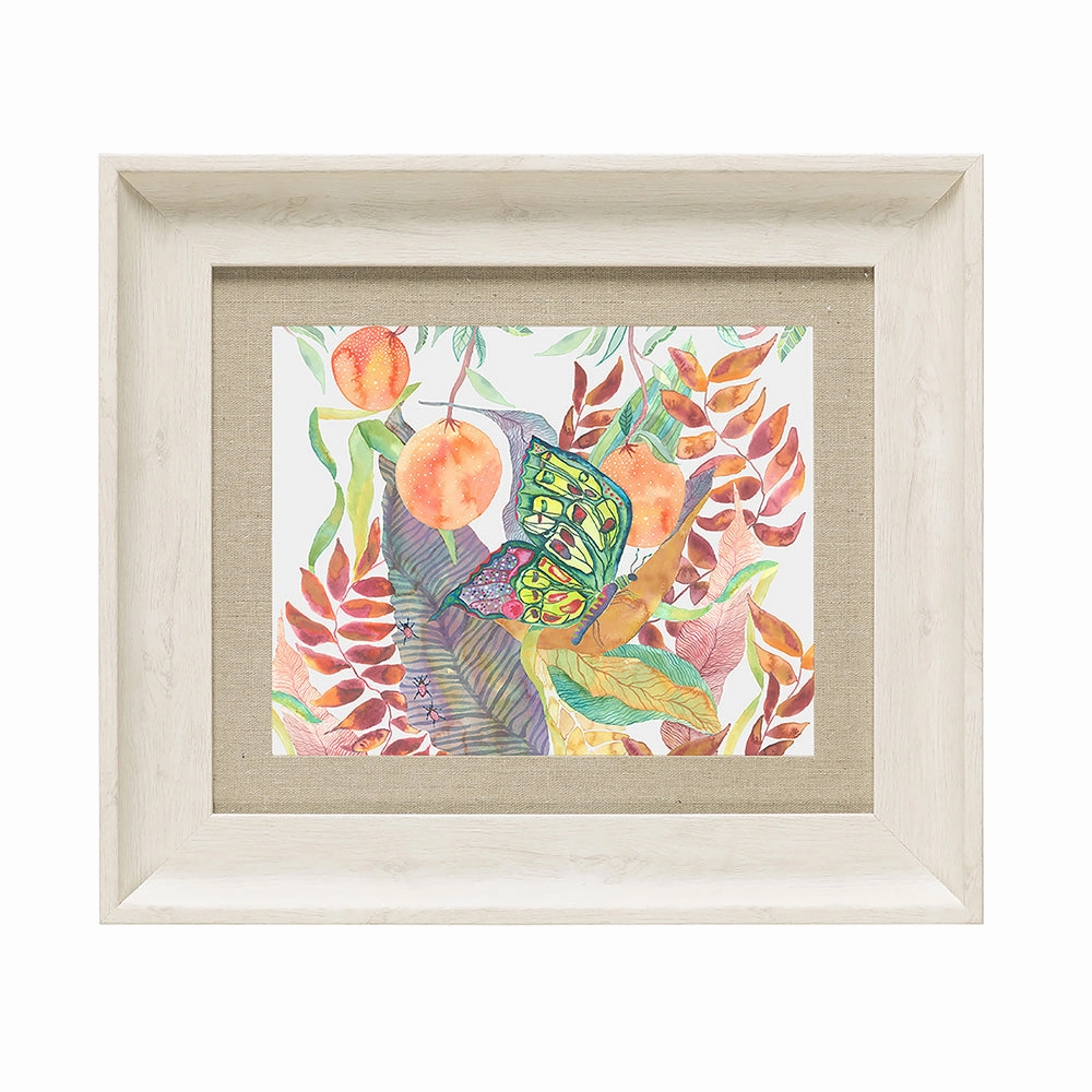 Butterfly Framed Print Birch/Linen