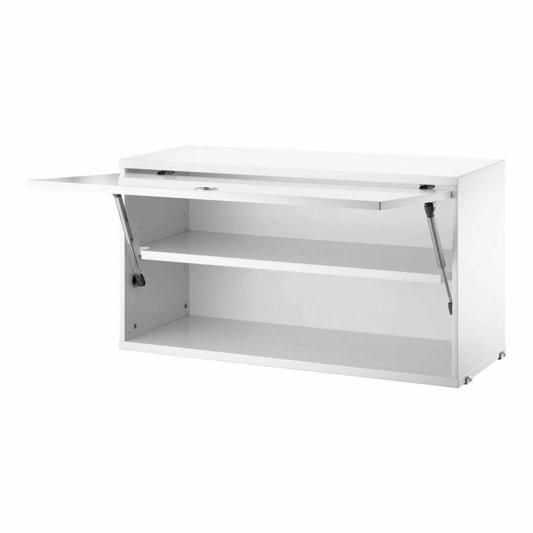 Cabinet with Flip Door