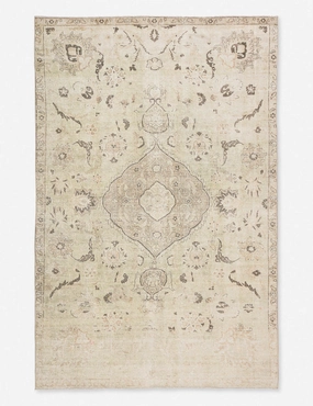 Cadencia Rug trendy fashion rug
