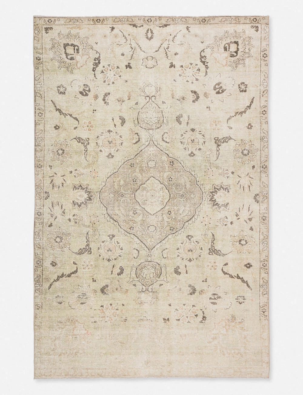 Cadencia Rug trendy fashion rug