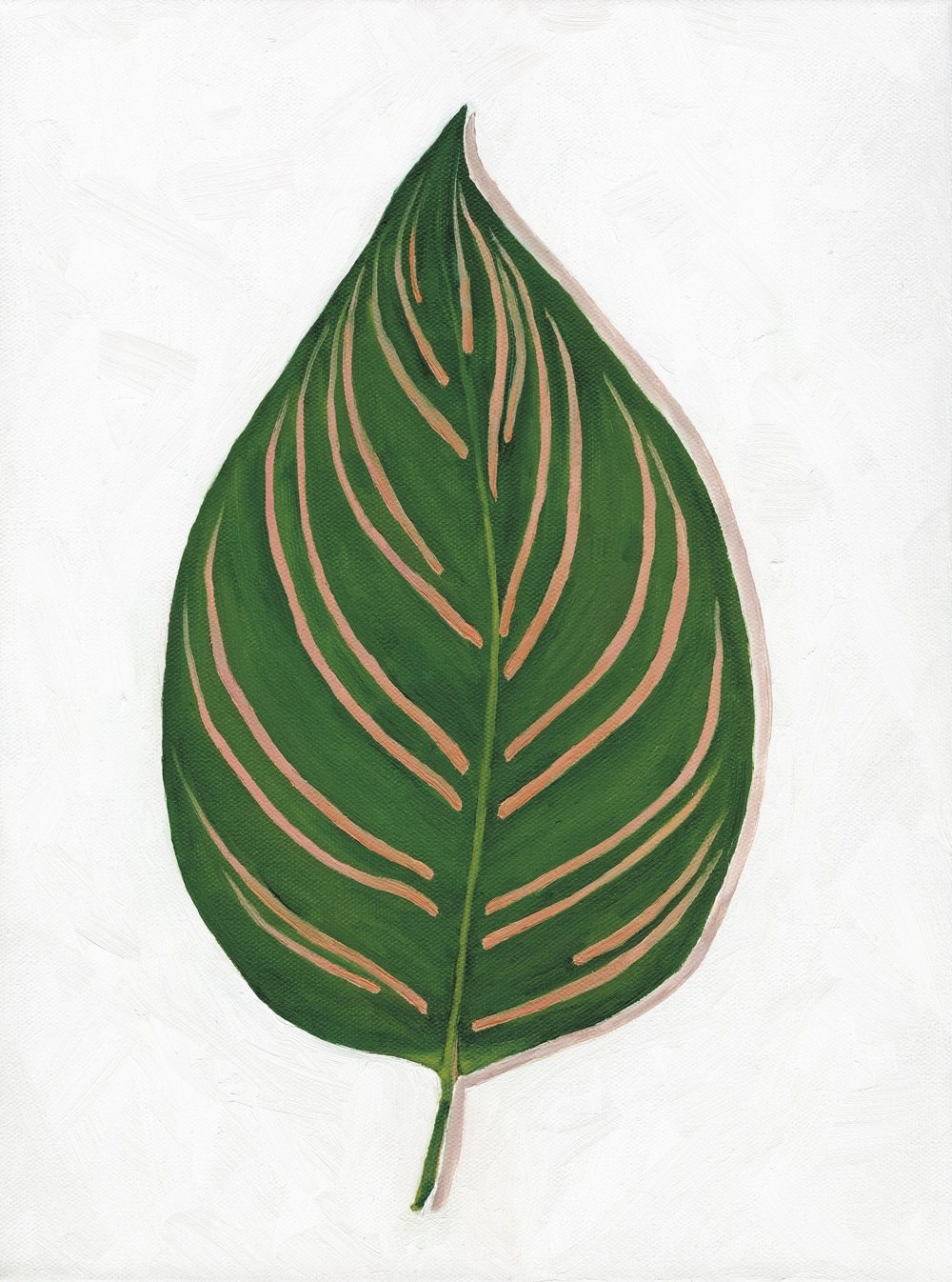 Calathea Ornata Houseplant Art Print framed wall decor