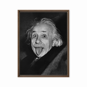 Canvas - Albert Einstein Tongue canvas mural art