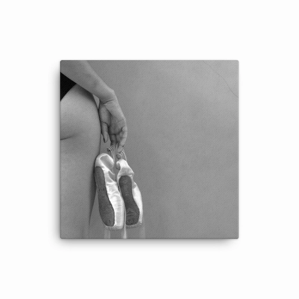 Canvas - Ballet shoes
