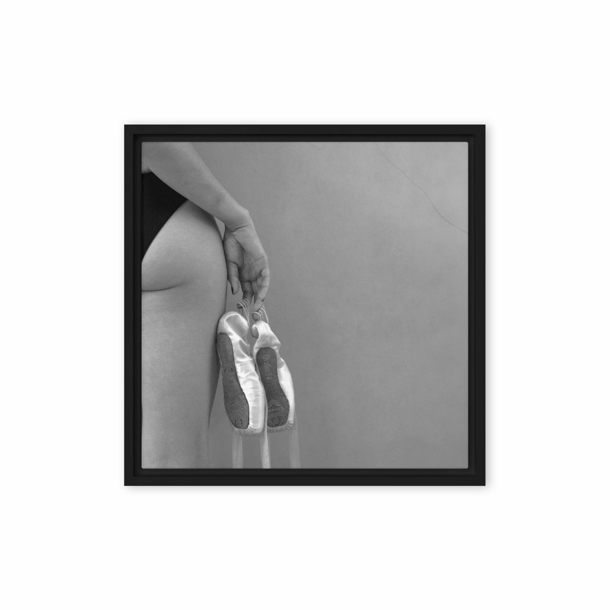 Canvas - Ballet shoes