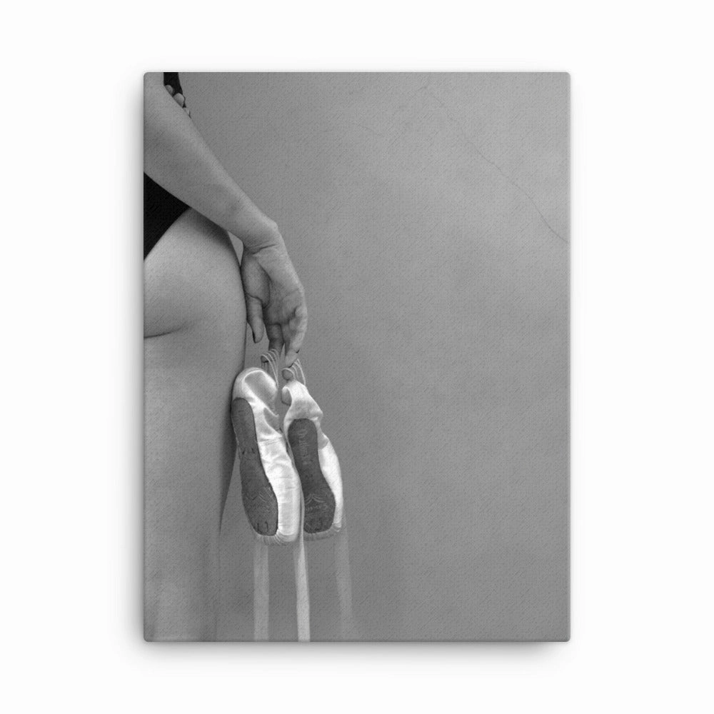 Canvas - Ballet shoes
