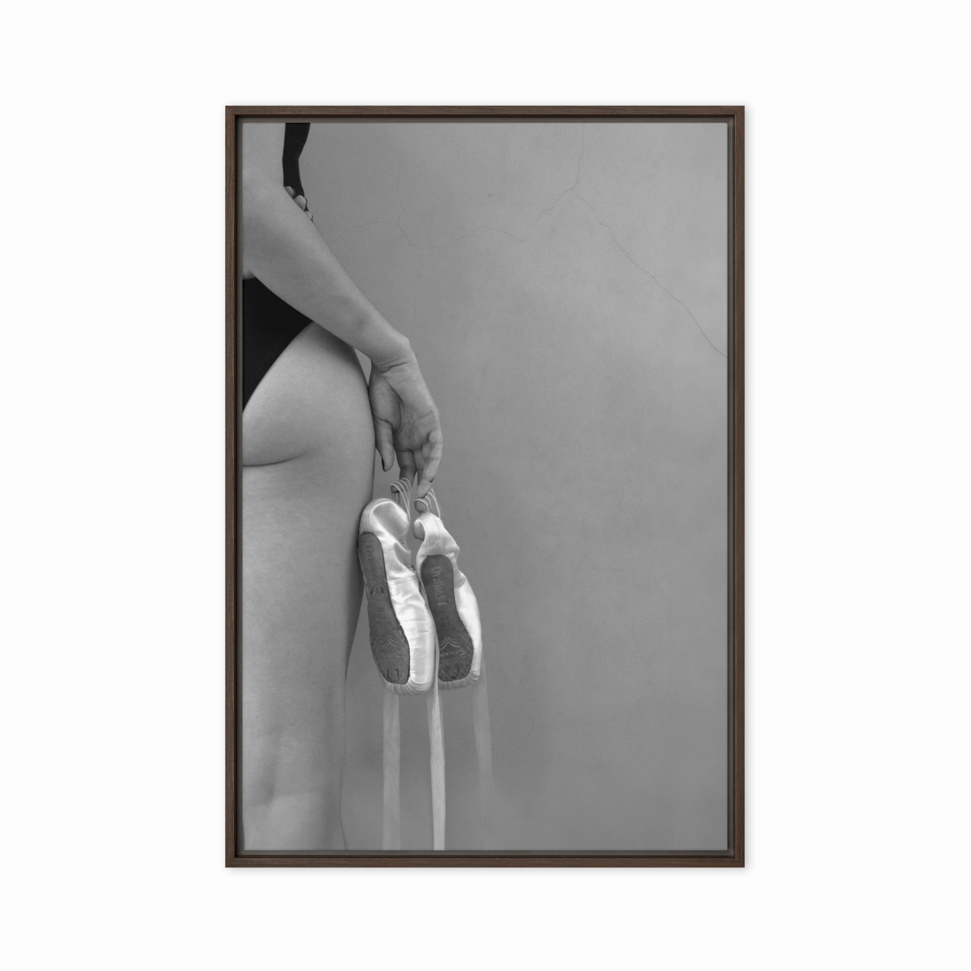 Canvas - Ballet shoes