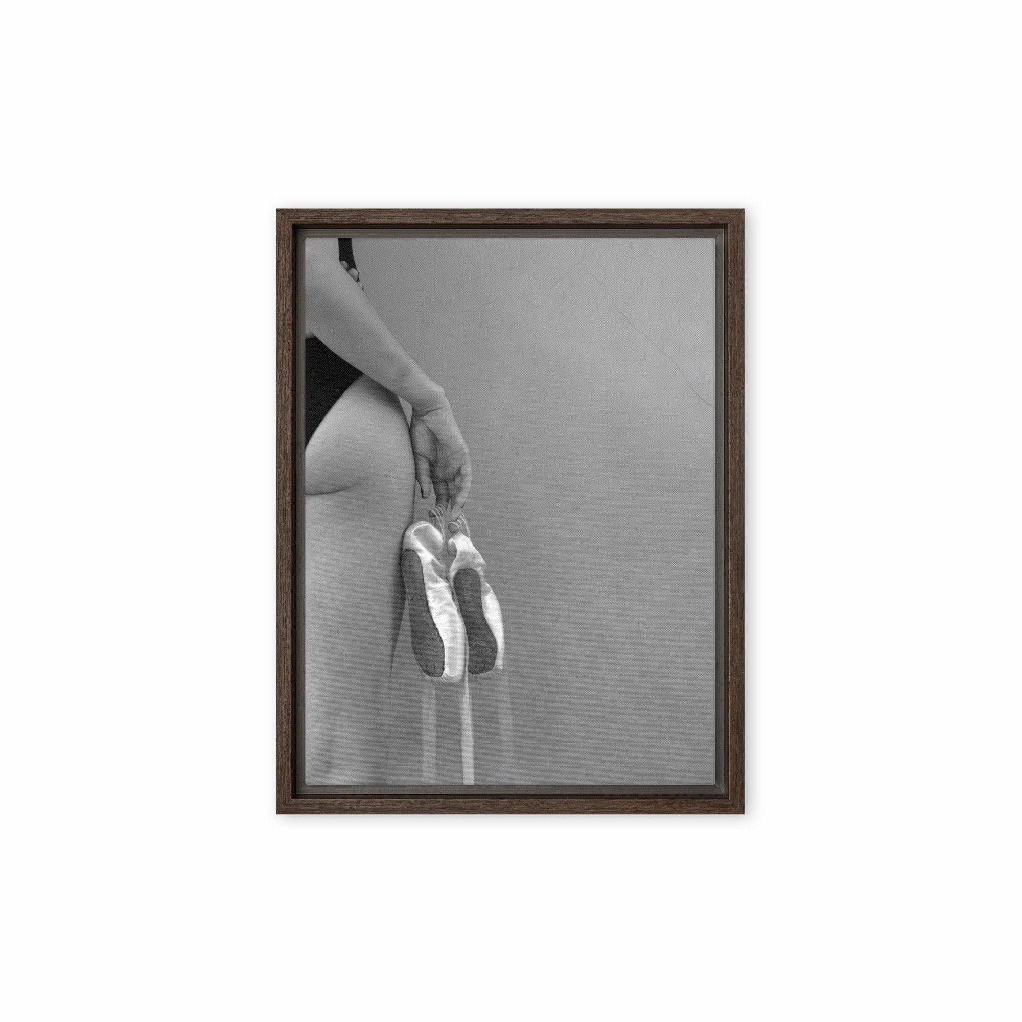 Canvas - Ballet shoes