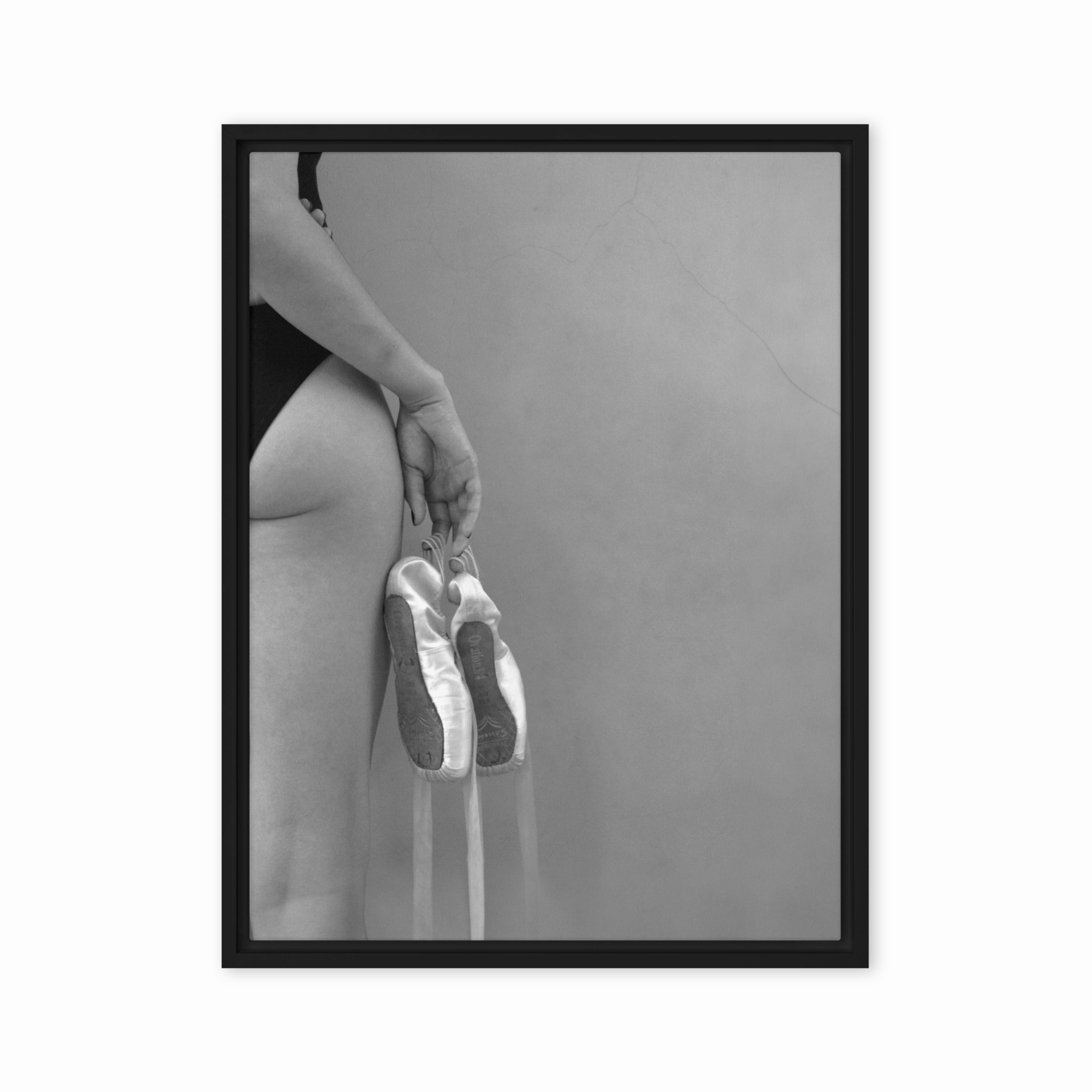 Canvas - Ballet shoes