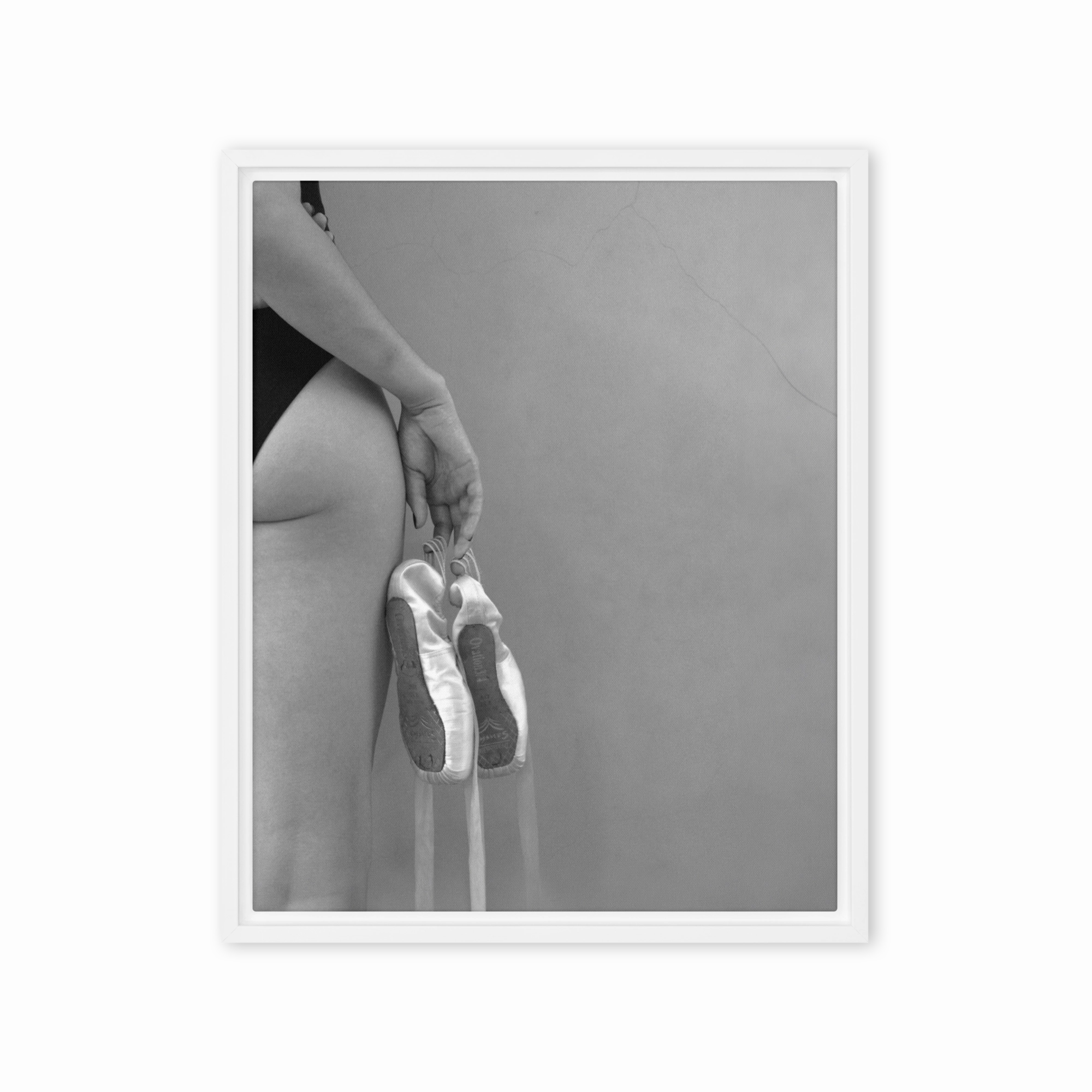 Canvas - Ballet shoes
