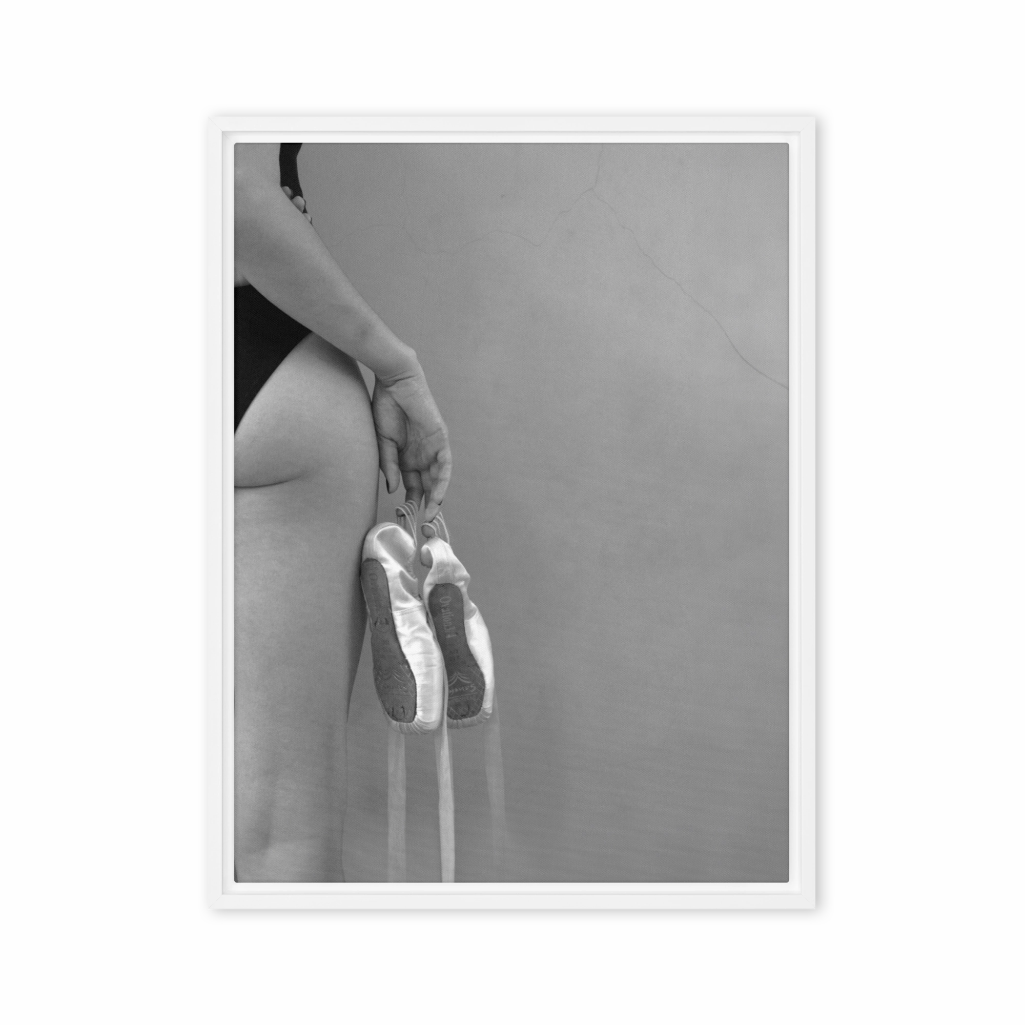 Canvas - Ballet shoes
