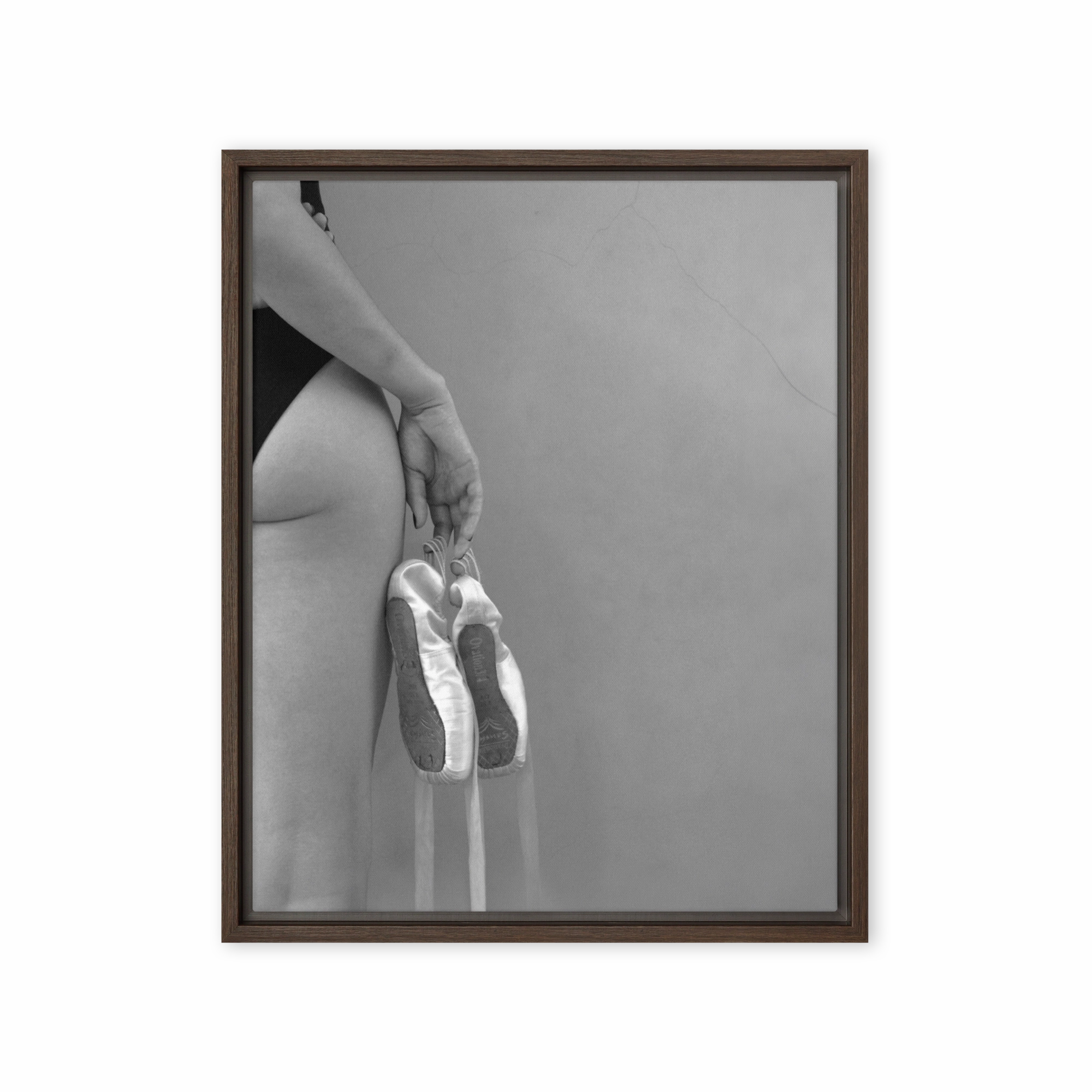Canvas - Ballet shoes