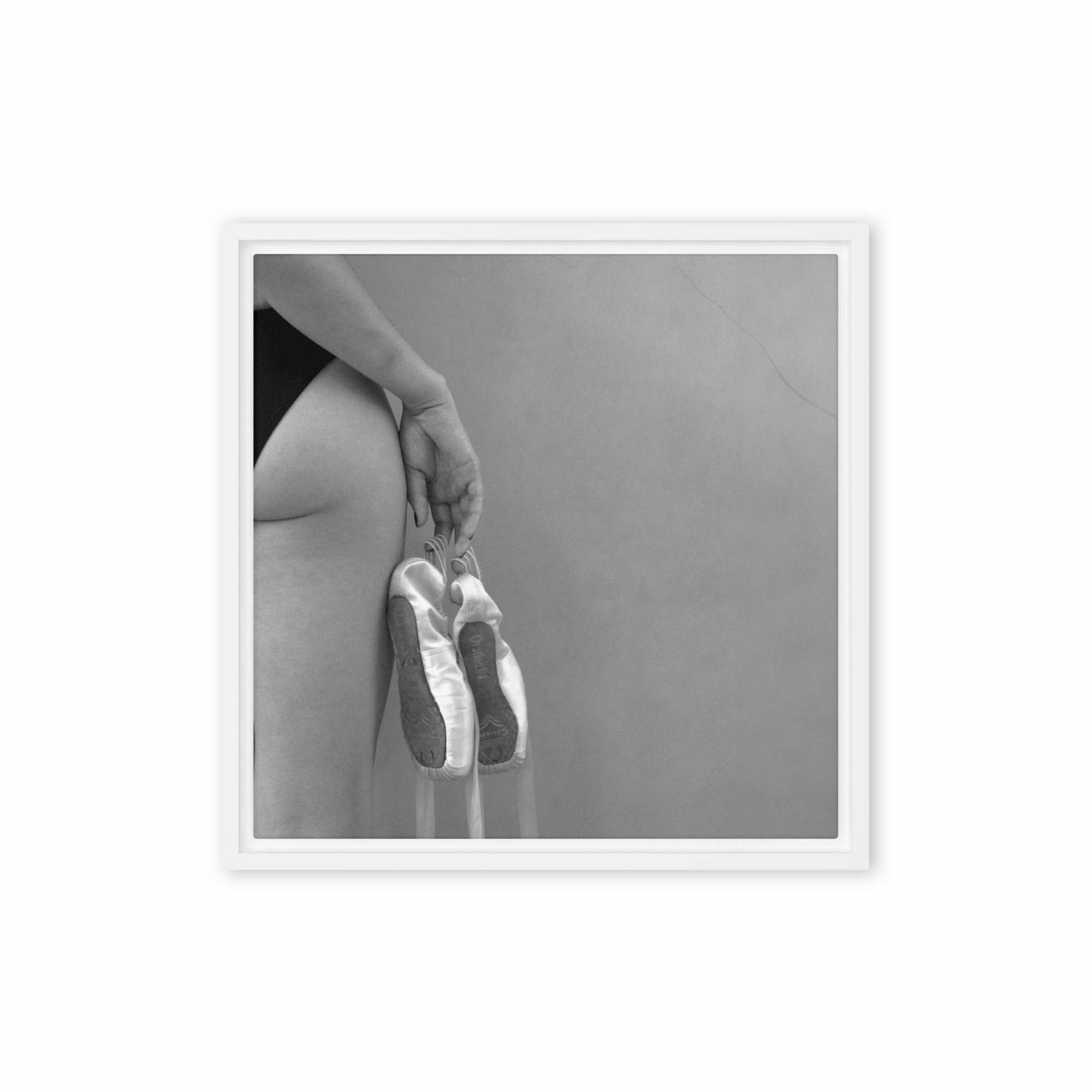 Canvas - Ballet shoes
