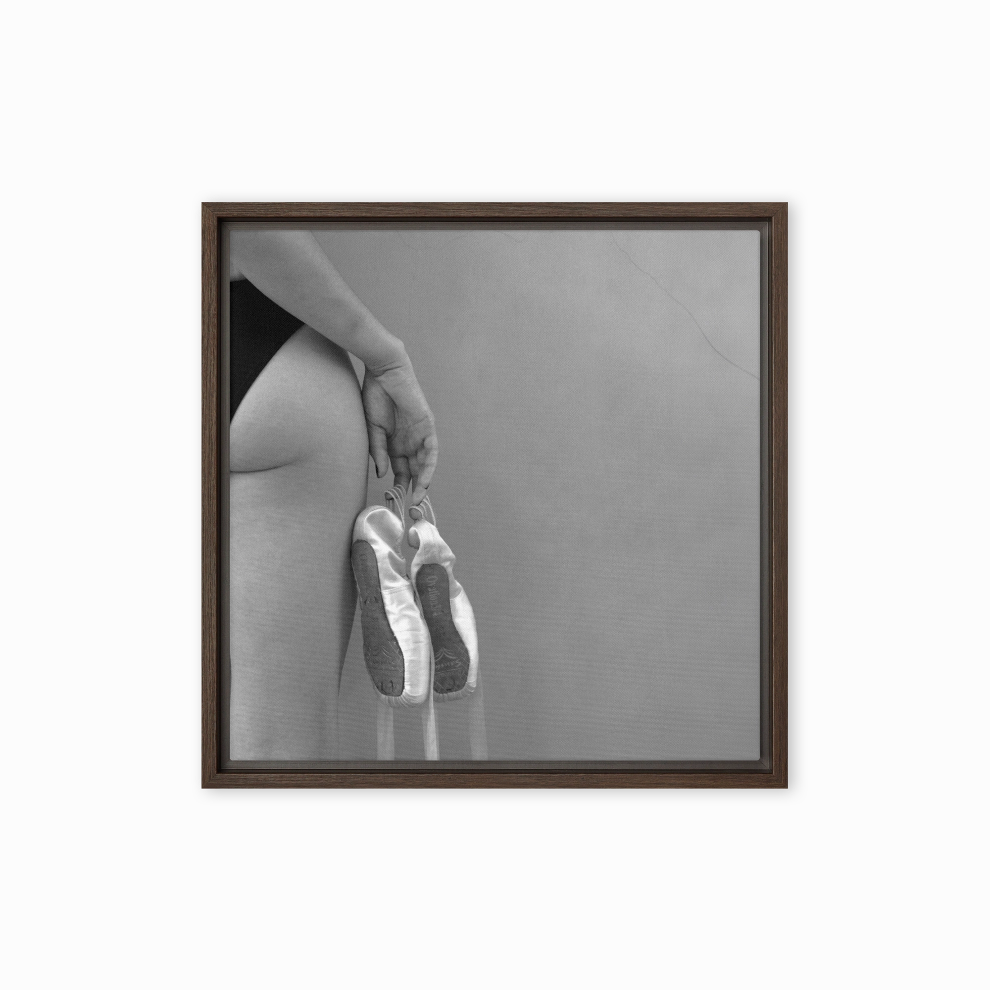 Canvas - Ballet shoes