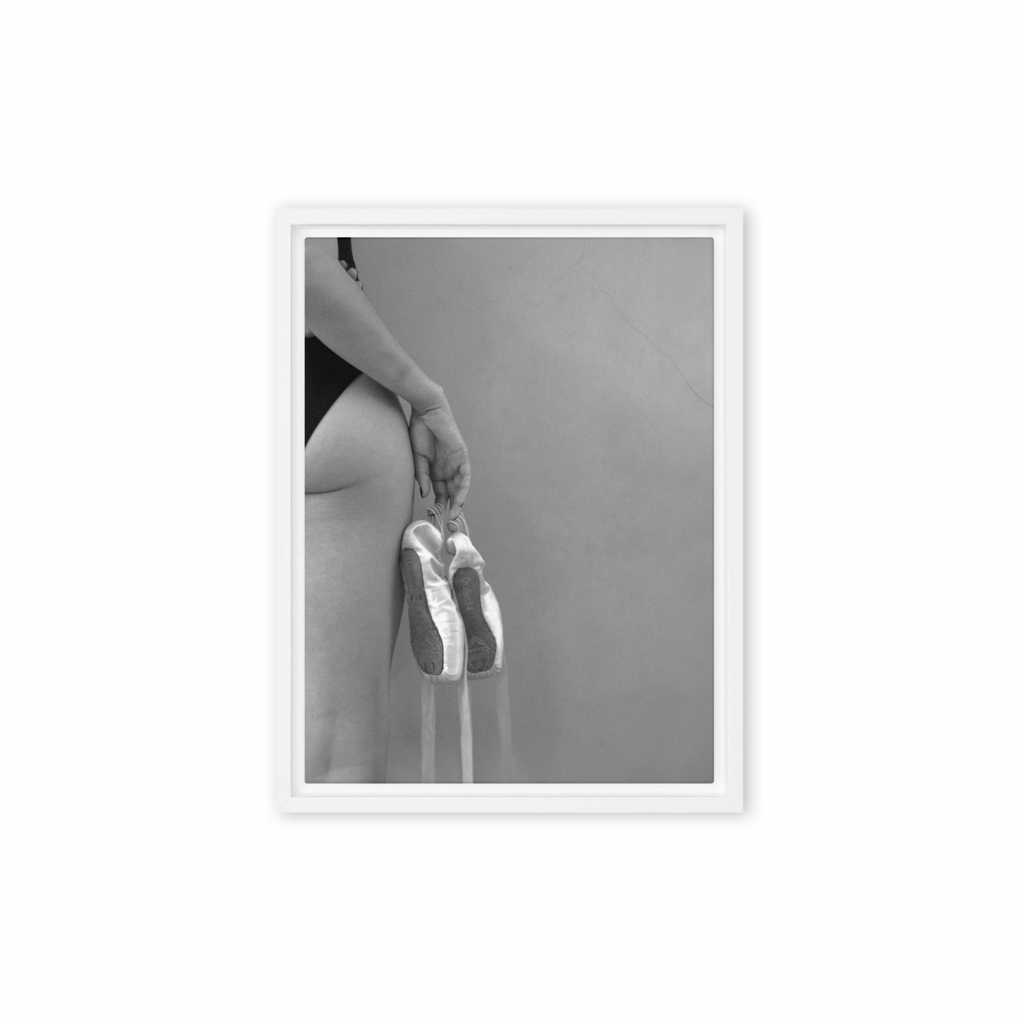 Canvas - Ballet shoes
