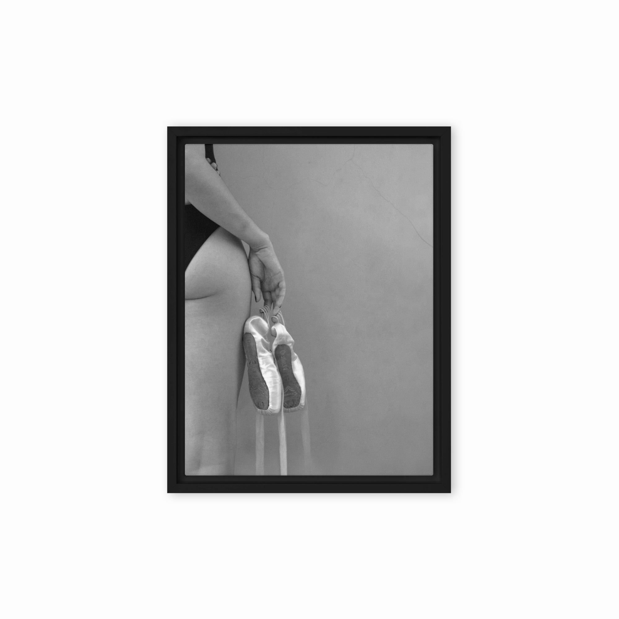 Canvas - Ballet shoes