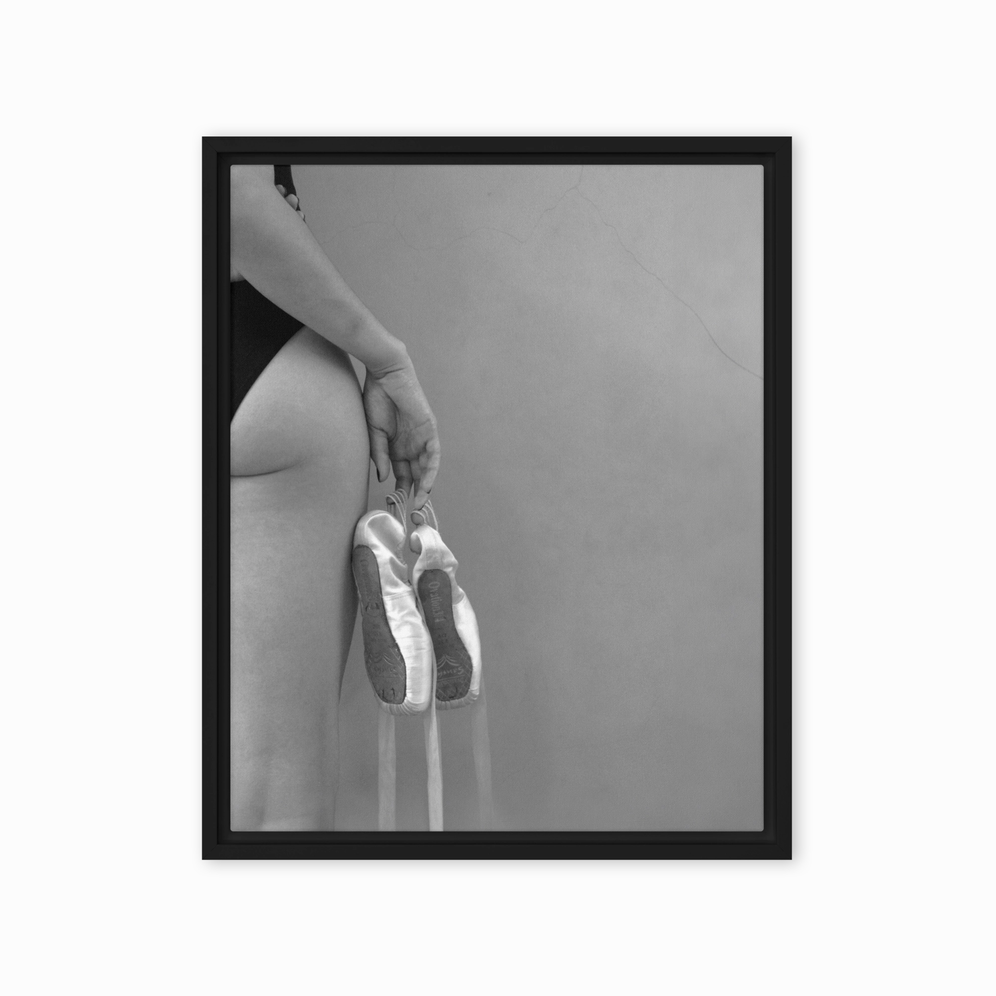 Canvas - Ballet shoes